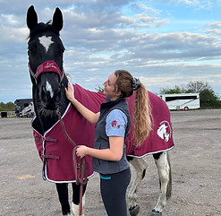 Equine Physiotherapy