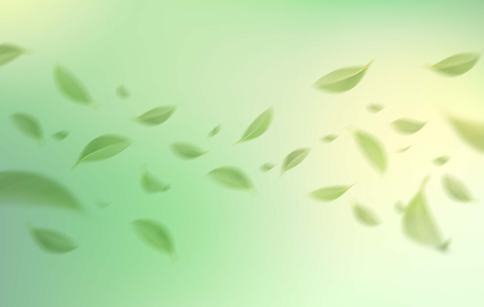 hojas-verdes-bg.jpg