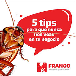 Muestra de diseño de contenido para redes sociales