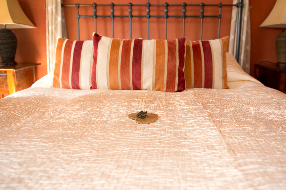 Frog on the newly weds bed, South Farm, Royston