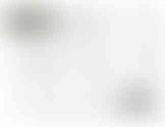 Plans techniques de construction d’un chalet contemporain avec mezzanine.