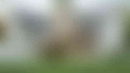 maison farmhouse terrasse moustiquaire vue arrière