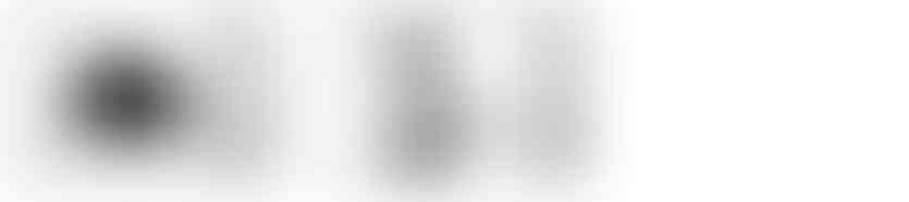 élévations maison farmhouse coupe structure pignons multiples