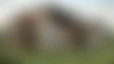 résidence contemporaine vue arrière volumes modernes et abri auto