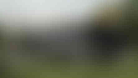 garage contemporain toit plat porte latérale design moderne