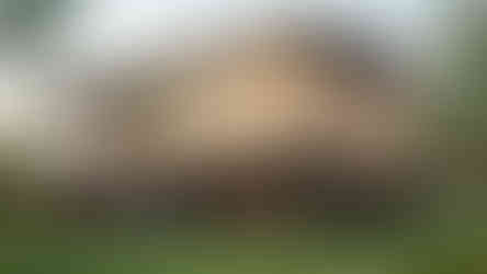 résidence moderne sur pilotis terrasse surélevée vue arrière