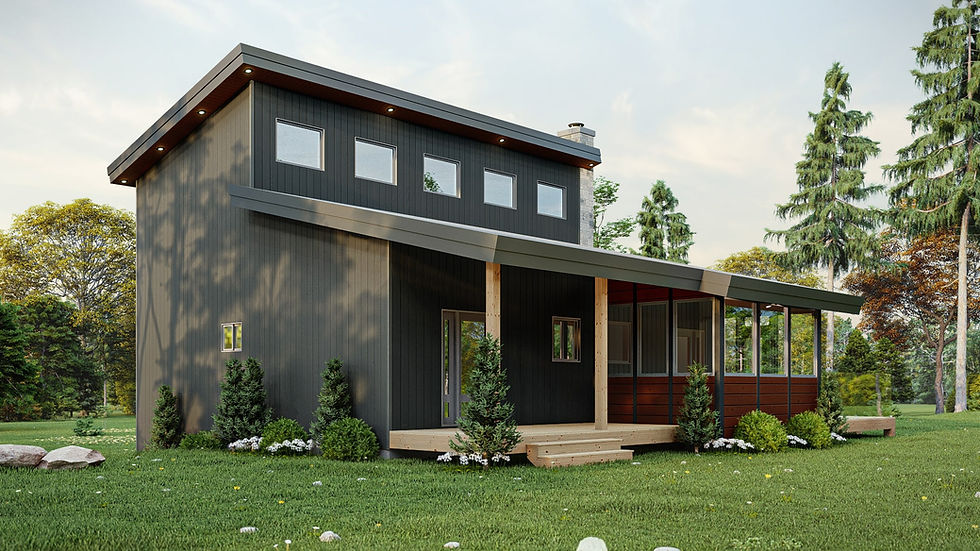 Miniature : Plan de chalet design - Extérieur arrière