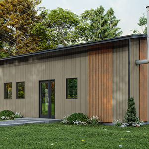 Vue avant d'une maison contemporaine à toit monopente avec revêtement vertical et accents de bois.