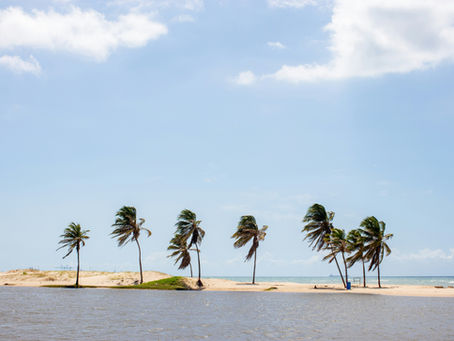 Les plus belles plages du Ceará : un paradis à découvrir au nord-est du Brésil