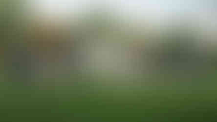 mur rideau vitré maison moderne façade arrière