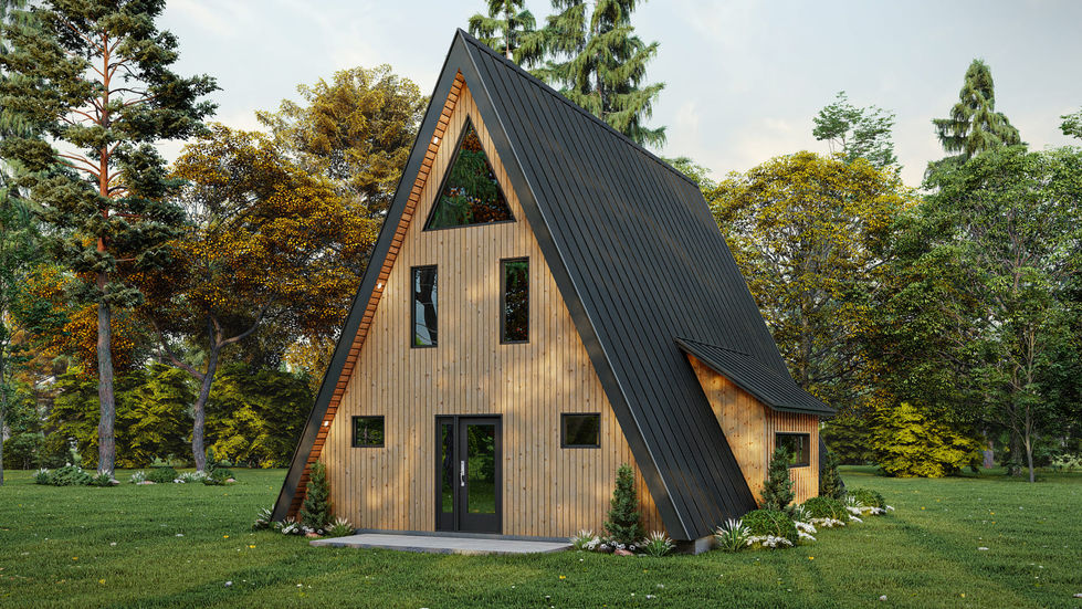 maison triangulaire contemporaine en bois façade vitrée moderne