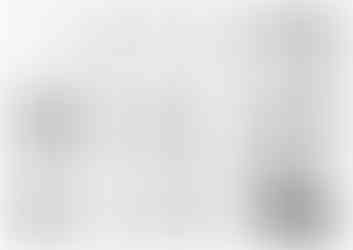 Documents techniques incluant les plans d’étage et les élévations du projet.