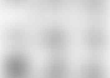 élévations coupes architecture maison moderne plans techniques