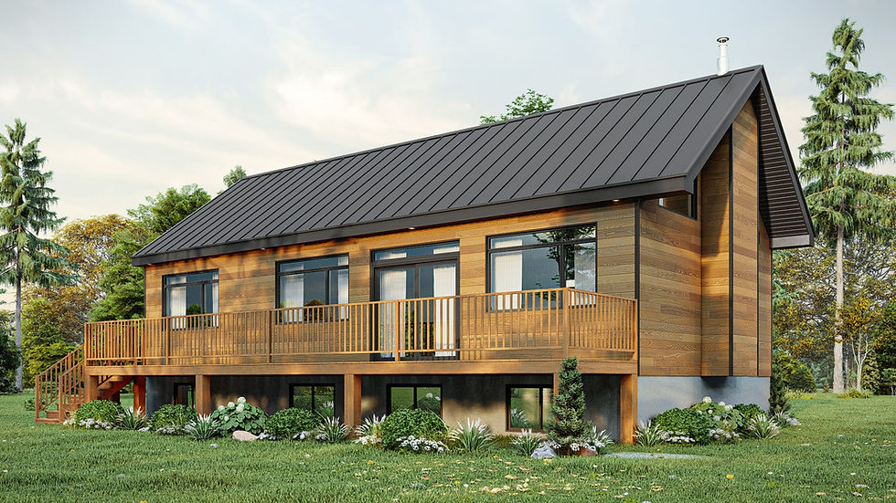 Modèle de maison avec demi sous-sol - Extérieur arrière