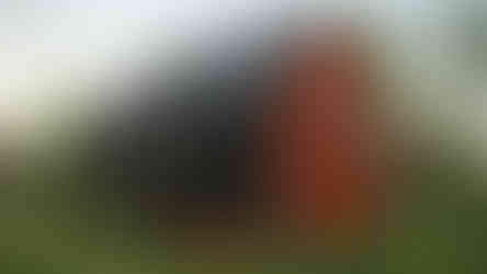 façade maison contemporaine pignon design minimaliste bois et noir