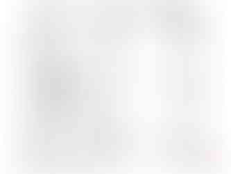 petite maison contemporaine 2 chambres plan intérieur optimisé avec aire ouverte