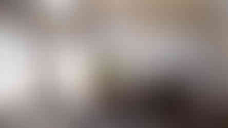 plan de chalet moderne avec rez-de-jardin et toit monopente interieur salon plafond cathédrale