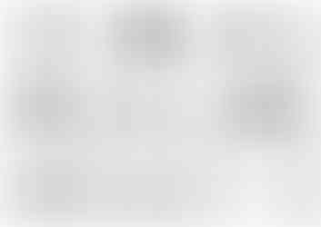 Élévations architecturales maison champêtre avec toiture inclinée