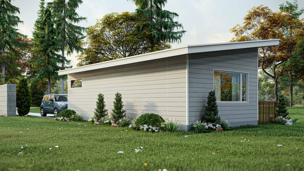 Perspective arrière d’une mini maison contemporaine à toit monopente avec revêtement moderne