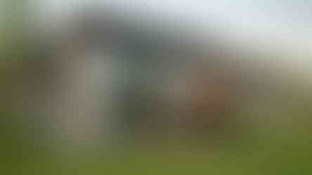 Vue arrière maison moderne avec volumes décalés et terrasse vitrée