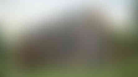 façade maison inspiration nordique bois et revêtement sombre