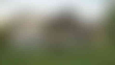 Maison farmhouse moderne avec terrasse arrière et revetement vertical