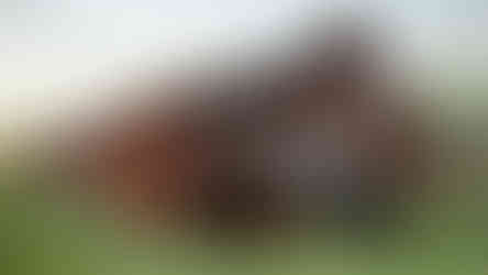 terrasse arrière surélevée d’un garage avec logement et mezzanine