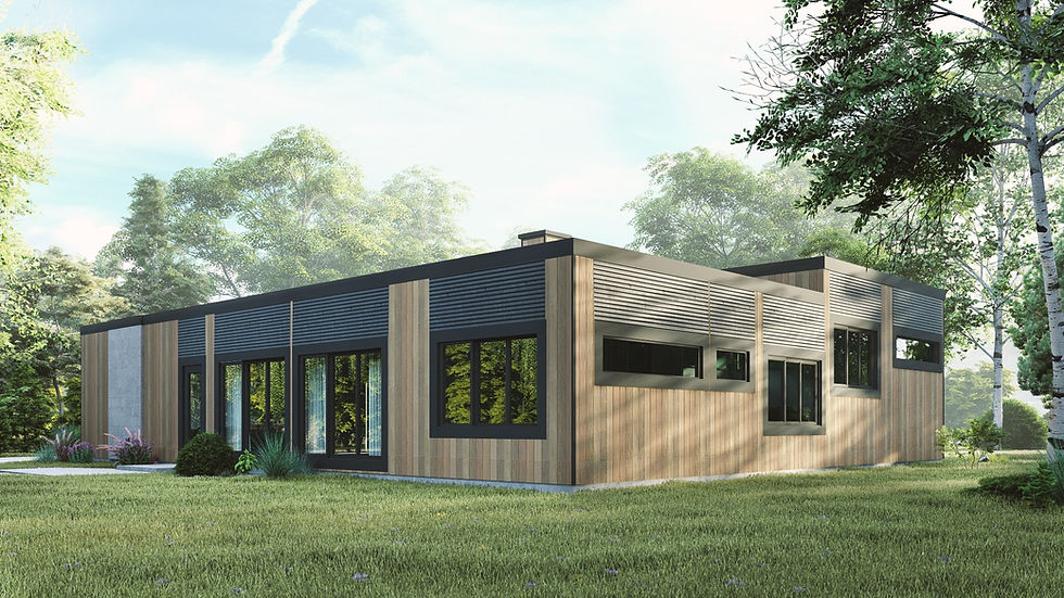 Miniature : Modèle de maison moderne à toit plat - Extérieur arrière 3