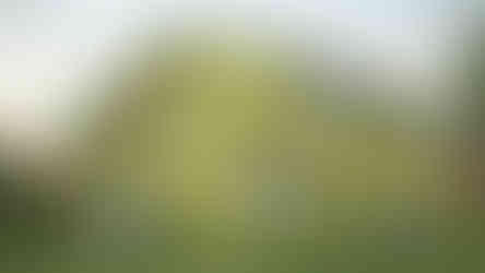 maison familiale contemporaine 2 étages vue arrière toit classique