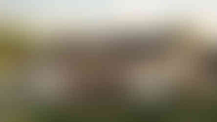 maison bi logement contemporaine avec sous-sol locatif vue arrière