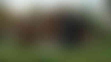 Vue arrière résidence moderne contemporaine avec garage double intégré et volumes épurés