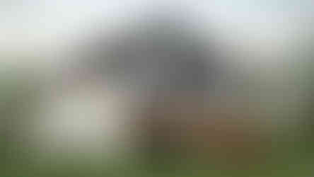 résidence contemporaine galerie bois vue arrière