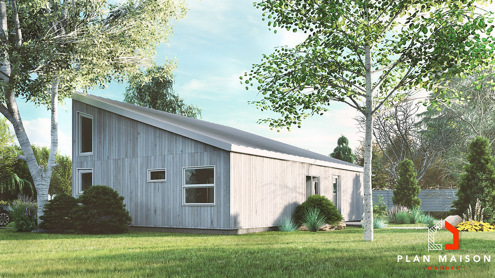 Plan de maison monopente de plain-pied - Extérieur arrière
