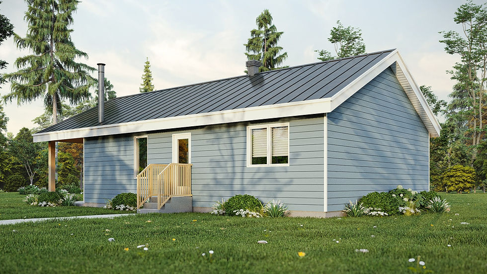 Plan de maison rustique de plain-pied avec sous-sol - Extérieur arrière