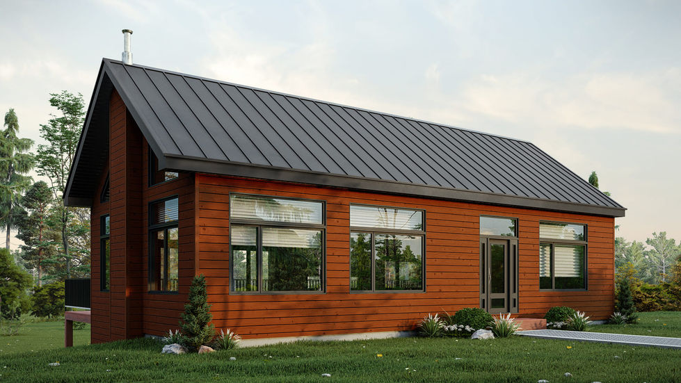 Plan de maison surélevée avec garage et sous-sol aménagé vue arrière grandes fenêtres