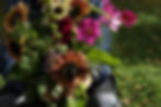 Mindme Studios daglig verksamhet odlar blommor.