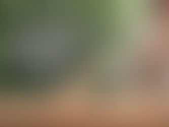 Pourquoi le coaching holistique répond aux limites du coaching classique