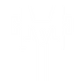 IMG_4357.PNG