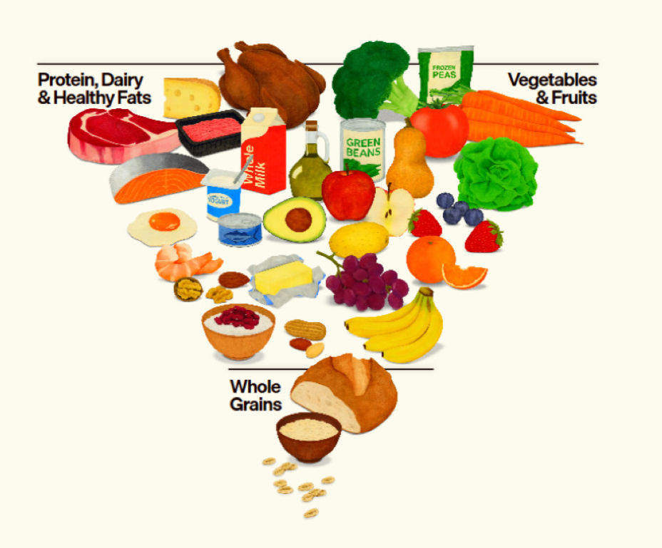 2025 Food pyramid with illustrated sections: "Protein, Dairy & Healthy Fats," "Vegetables & Fruits," "Whole Grains." Includes meats, vegetables, fruits, grains.