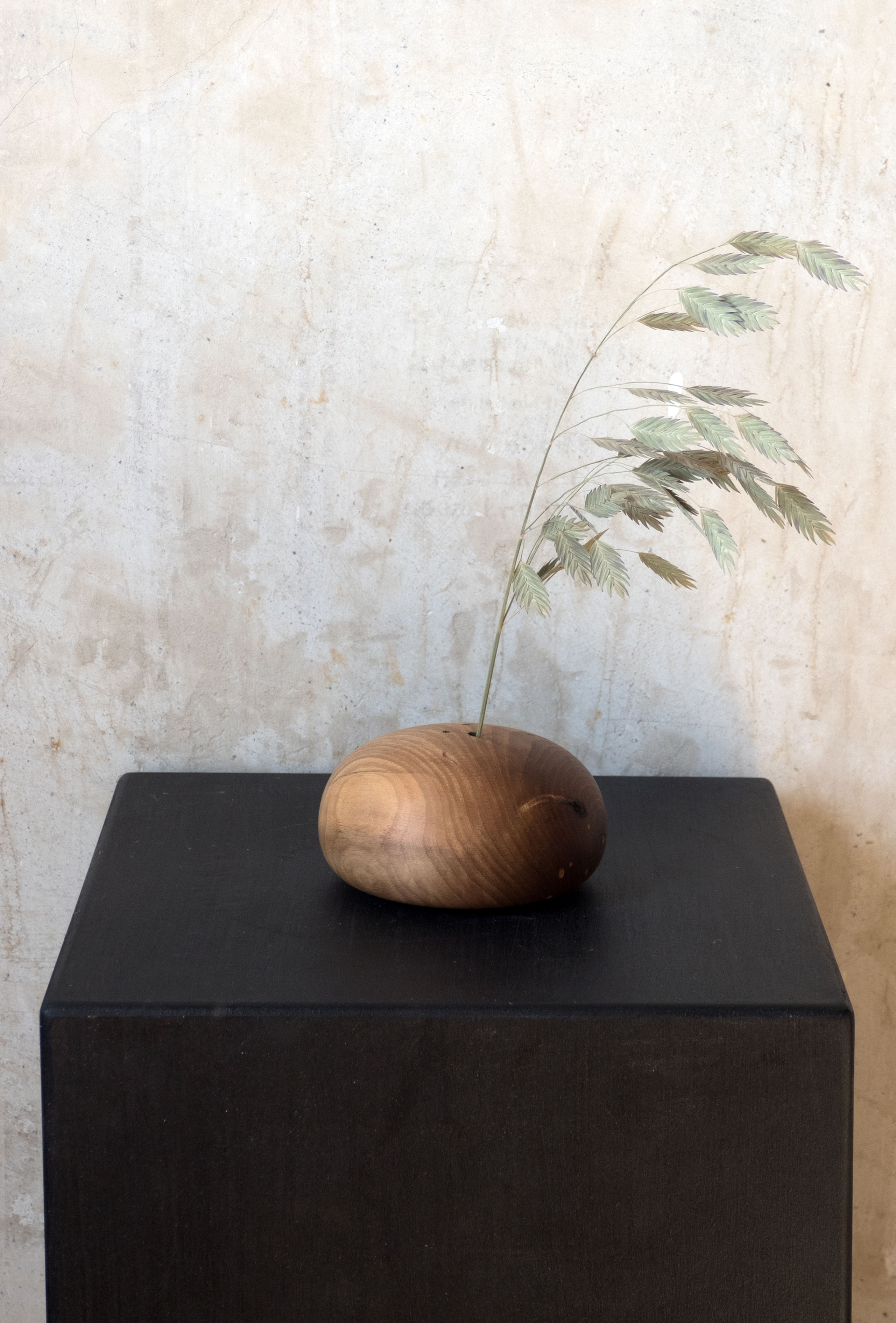 Trockenblumen Kiesel aus Nuss