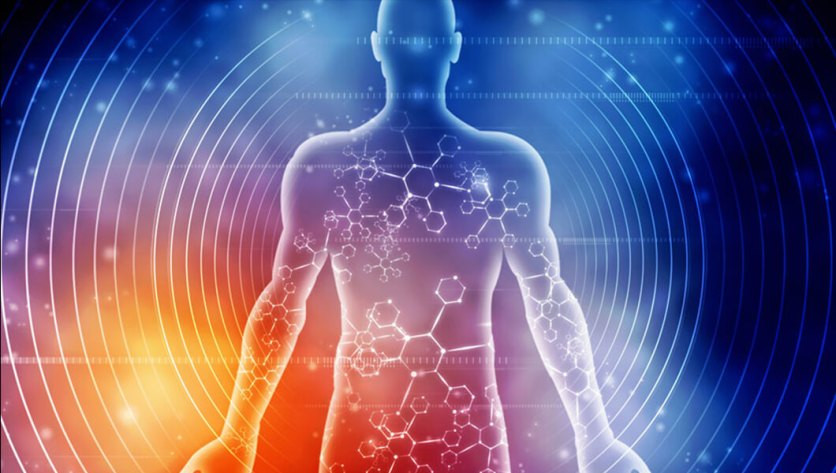 Physical Body Scan
