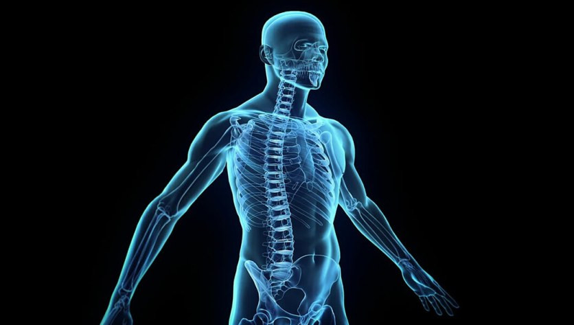 Physical Body