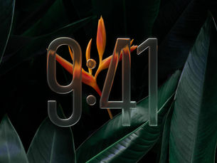 Apple Liquid Glass Design