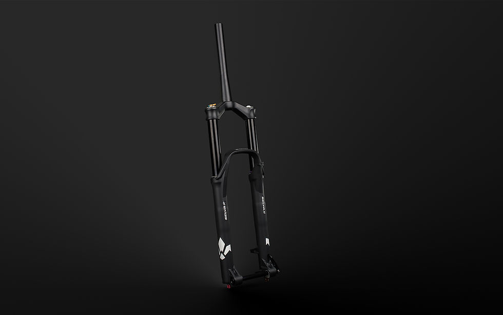 Thumbnail: Formula SELVA R - Dual Air Suspension Fork