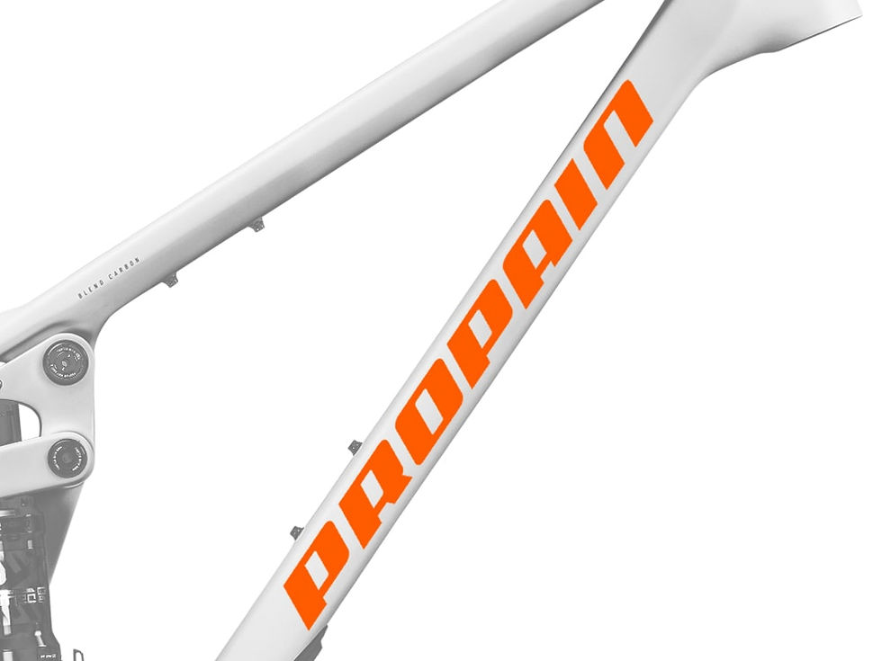Thumbnail: Propain Decal set