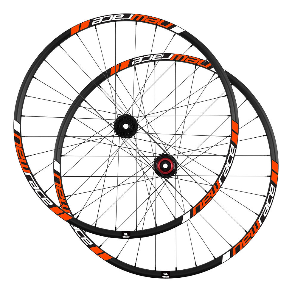 Miniatura: Par de Rodas New Race BTT SL - 29"