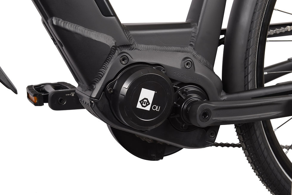 Miniaturbild: Bicicleta Elétrica MBM Sinope - Reembolso 500€ Fundo Ambiental