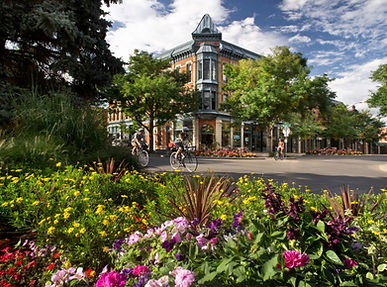 Fort Collins, CO skyline