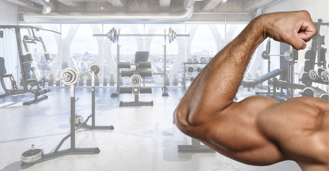 Arm Workouts
Arm strength training workouts are a significant muscle group that must be incorporated into a workout program. Strengthening your arms helps strengthen other important lifts like bench press and shoulder press as well as pull ups and rows. The more strength you have in your arms the stronger you will be overall in your upper body. Arms are essential.
When strength training arms you’re going to strengthen and build your biceps muscles, your triceps, and forearms. As mentioned before strengthening arms strengthens and enhances other lifts and muscle groups as well. They also build your strength and muscle definition as you will learn as you continue to read further. Learning how to build strength.
The workouts
Building Strength
There are a multiple variety of different bicep workouts that strengthen your bicep muscle in different ways. Each workout strengthens, shapes and molds your muscles differently and each combination of workouts together strengthens and shap