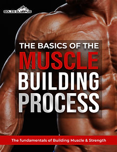 the muscle building process ebook. this is th basics of the muscle building process and goes into more detial on themuscle building process afterthe free 21 pge report on how to build lean muscle mass and strength. this covers the four basic fundamentals of the muscle building process. workout and break your muscles down and diet and refuel your muscles and recov and rest and allowing the nutrients build your muscles back.